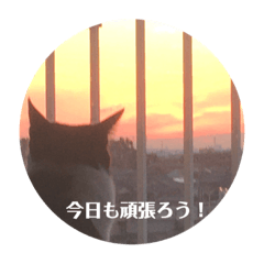 Hana_20220430102442