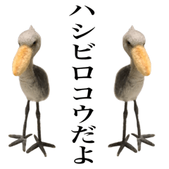 the shoebill part2
