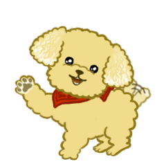 Toy Poodle greets