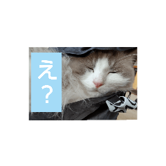 uni ikura_20220429193302