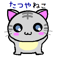 Tatsuya cat