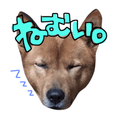 hello ponko