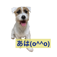 wag more_20220430001955