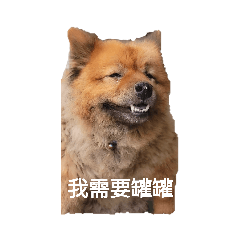 黑狗爸之家
