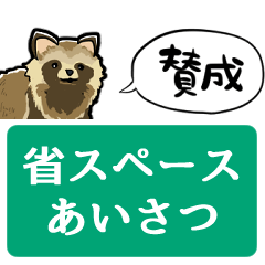 raccoon dog with a small vertical width