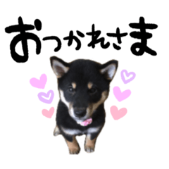 Akari_20220429223350