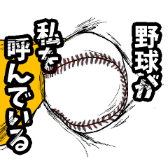 It says about baseball terminology.ver2
