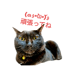 jack_20220429224749
