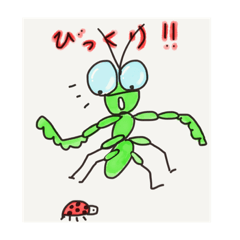 praying mantis 3