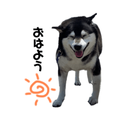 Matsu_20220430173709