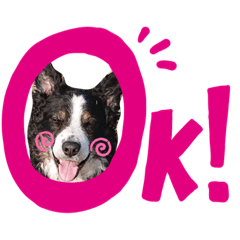 shiho_20220430170949