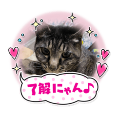 yuka_20220430185158