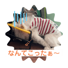 ACHI_20220430165021