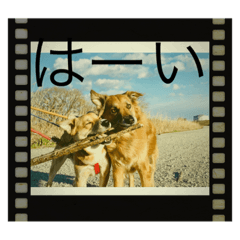 yukari_20220430194600