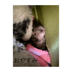 Mizuki_20220430155310