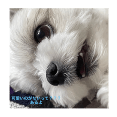 miyuu_20220430182842