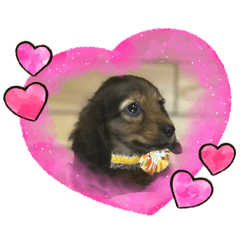 arisa_20220430203537