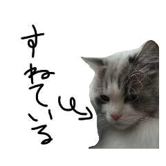 Nyanko_20220430211316