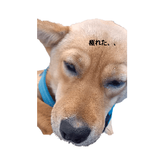 aoi_20220430220029