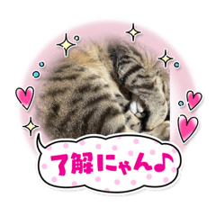 RINA_20220430220829