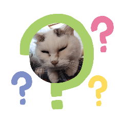1catt