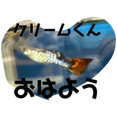 Kaori_20220430202957