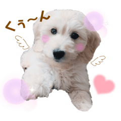 yukari_20220430221245