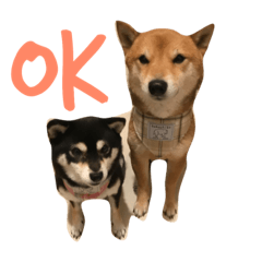 shiba Ryoma&nami