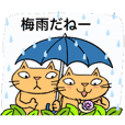 Juns の梅雨の猫たち