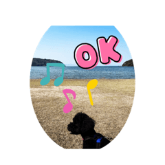 黒トイプードル＋ワン