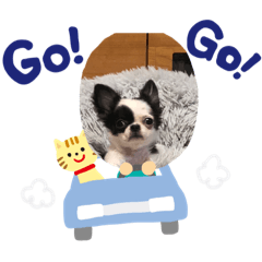 himawari_20220430183305