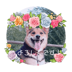Hana_20220430232503
