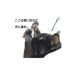 aoi_20220501013103