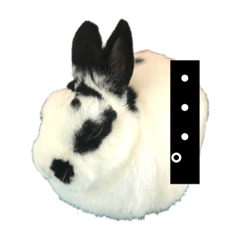 omochimochimaru