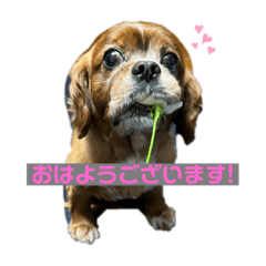 rina_20220501130908