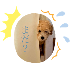 suzu_20220501135045