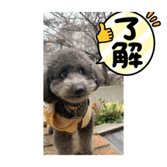 (*^▽^*)！