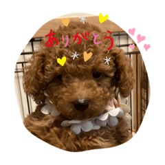 Kuu_20220501140557