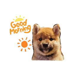 michiko_20220430221753