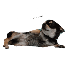 Hiyori_20220501110136