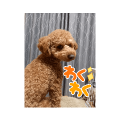 Kaito_20220501132409