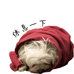 一家隻狗 阿狗狗