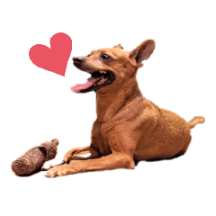 Ruby_20220501123850