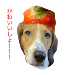 Mugimi_20220501001746