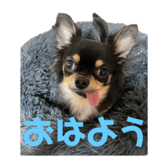 saori_20220501145419