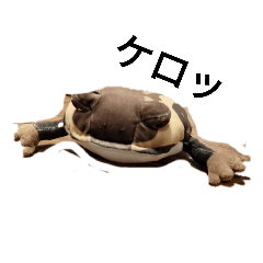 smile_20220501085411