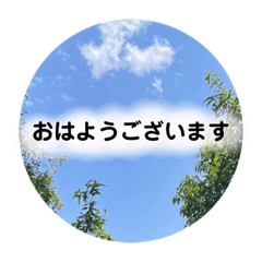 SAYURI_20220501170725