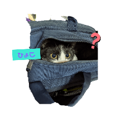 matsu_20220501171405