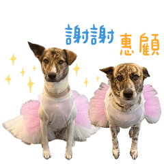 可樂薯條專屬貼圖