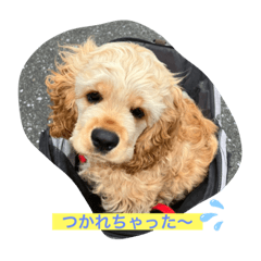 AKIKO_20220501174431